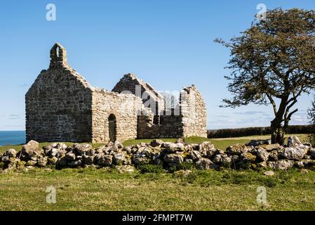 Capel Lligwy ruiniert Überreste einer kleinen Kapelle aus dem 12. Jahrhundert mit Ergänzungen aus dem 16. Jahrhundert. Moelfre, Isle of Anglesey, Nordwales, Großbritannien Stockfoto