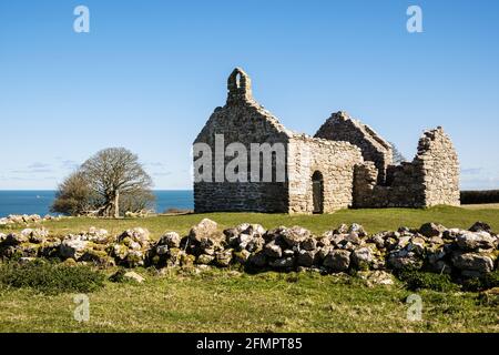 Capel Lligwy ruiniert Überreste einer kleinen Kapelle aus dem 12. Jahrhundert mit Ergänzungen aus dem 16. Jahrhundert. Moelfre, Isle of Anglesey, Nordwales, Großbritannien Stockfoto