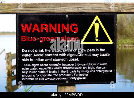 Ein Warnschild in Bezug auf blaugrüne Algen im Broads Wildlife Center in den Norfolk Broads von Ranworth Broad, Norfolk, England, Vereinigtes Königreich. Stockfoto