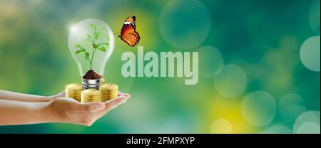 Glühbirne mit wachsender junger Pflanze, Erde und Münze mit grünem Hintergrund. Eco Earth Day, Naturökologie, Wachstum, Energieeinsparung, Innovation. Stockfoto