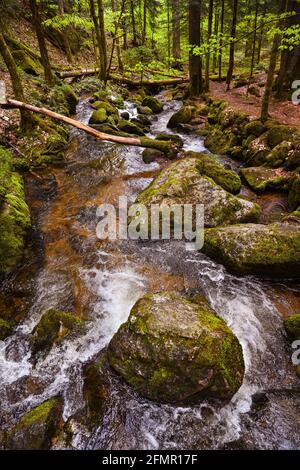 Der Gertelbach Wasserfall im Bühler Tal, Nordschwarzwald. Baden-Württemberg, Deutschland, Europa Stockfoto