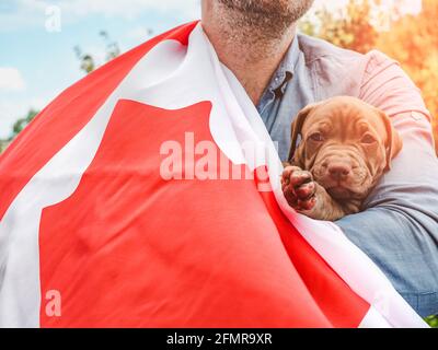 Attraktiver Mann hält einen charmanten Welpen auf einem Hintergrund von blauem Himmel an einem klaren, sonnigen Tag. Im Freien, Nahaufnahme. Nationales Urlaubskonzept Stockfoto
