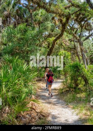 Menschen auf dem William S Boylston Nature Trail ist ein 0.9 Meilen leicht befahrene Loop Trail im Myakka River State Park in der US-amerikanischen Florida Stockfoto