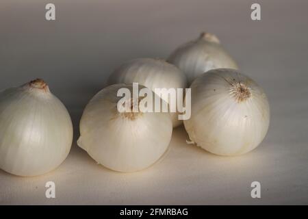 Weiße Zwiebel oder Allium cepa ist eine Sorte trockener Zwiebel, die einen ausgeprägten leichten und milden Geschmack haben. Aufgenommen auf weißem Hintergrund Stockfoto