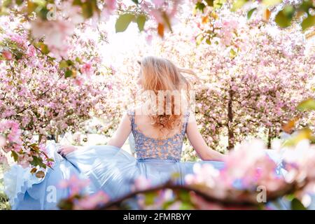 Eine Frau in einem blauen Kleid läuft vor einem Hintergrund von rosa Sakura. Stockfoto