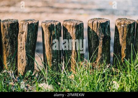 Log kurzer Zaun mit grünem Gras.Hintergrund.Nahaufnahme Stockfoto