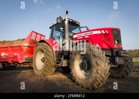 BUCKINGHAMSHIRE, Großbritannien - 07. März 2021. Nahaufnahme eines Massey Ferguson Dyna-6 Traktors, der einen Anhänger auf einem britischen Bauernhof schleppt. Landwirtschaft und schwere landwirtschaftliche Machi Stockfoto