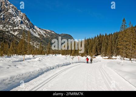 Langlaufloipe im Fiscalina-Tal, Trentino-Südtirol, Italien Stockfoto