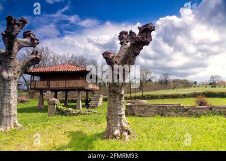 Horreo in Gijon, Asturien, Spanien. Traditioneller Kornspeicher Stockfoto