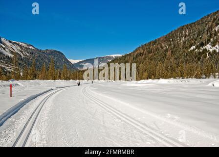 Langlaufloipe im Fiscalina-Tal, Trentino-Südtirol, Italien Stockfoto