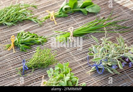 Trauben verschiedener aromatischer Kräuter, frisch gepflückt. Stockfoto