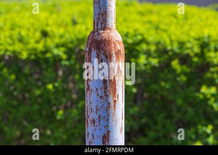 Nahaufnahme von rostigen Metallmasten auf grünem Buschhintergrund. Stockfoto