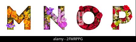 Blumenbuchstaben. Die Buchstaben M, N, O, P sind aus bunten Blumenfotos gemacht. Eine Sammlung wunderbarer Flora-Buchstaben