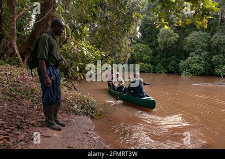 Flussüberquerung für Ranger, um im Sapo-Nationalpark, Liberia, Westafrika, zur Arbeit zu kommen. Stockfoto