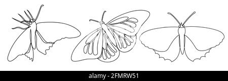 In einer modernen einzeiligen Kunst der Schmetterlinge. Stock Vektor
