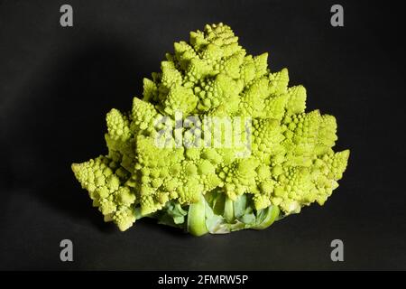 romanesco Brokkoli auf schwarzem Hintergrund Stockfoto