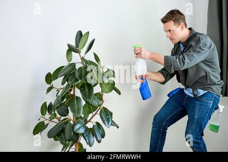 Mann, der zu Hause Wasser auf die Blume der Hauspflanze mit Sprühflasche sprüht. Hausarbeit und Haushaltskonzept. Seitenansicht des kaukasischen Männchens zu Hause. Konzentrieren Sie sich auf pla Stockfoto