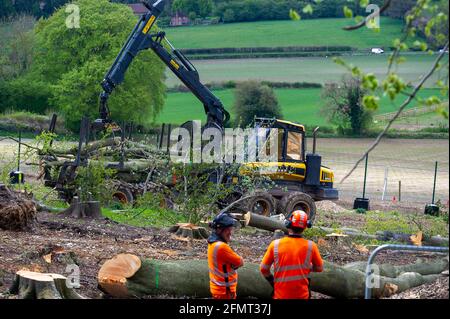 Aylesbury Valle, Buckinghamshire, Großbritannien. Mai 2021. Die Polizei von Thames Valley wurde heute von Stop HS2-Demonstranten gerufen, als HS2 Bäume in Jones Hill Wood fällte, obwohl die HS2-Lizenz von Natural England angeblich abgelaufen war. Seltene Barbaren Fledermäuse sind bekannt, in den Wäldern zu brüten. Der Wald soll den lokalen Autor Roald Dahl dazu inspiriert haben, den beliebten Kinderroman, den fantastischen Mr. Fox, zu schreiben. Die High Speed Rail 2 von London nach Birmingham schnitzt eine riesige Narbe über die Chilterns. Quelle: Maureen McLean/Alamy Live News Stockfoto