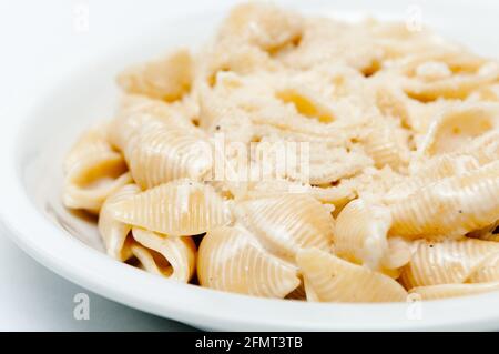 Nahaufnahme von Conchiglie Shell Pasta alfredo mit Parmesan-Käse Stockfoto