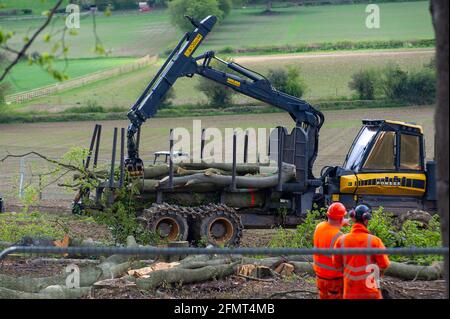 Aylesbury Valle, Buckinghamshire, Großbritannien. Mai 2021. Die Polizei von Thames Valley wurde heute von Stop HS2-Demonstranten gerufen, als HS2 Bäume in Jones Hill Wood fällte, obwohl die HS2-Lizenz von Natural England angeblich abgelaufen war. Seltene Barbaren Fledermäuse sind bekannt, in den Wäldern zu brüten. Der Wald soll den lokalen Autor Roald Dahl dazu inspiriert haben, den beliebten Kinderroman, den fantastischen Mr. Fox, zu schreiben. Die High Speed Rail 2 von London nach Birmingham schnitzt eine riesige Narbe über die Chilterns. Quelle: Maureen McLean/Alamy Stockfoto