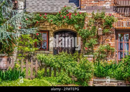 Nahaufnahme des Eingangs zu einem schönen Steinhaus mit gewölbtem rustikalem Gebäude Holztür, umgeben von Rosen - viele altmodische Blumen Und einen Zaun Stockfoto