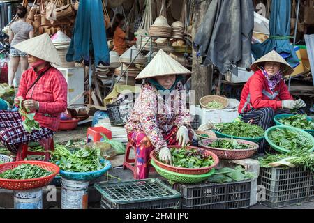 Drei vietnamesische Marktverkäufer, die Kräuter und Gemüse mit konischen Hüten verkaufen, Hoi an, Vietnam Stockfoto