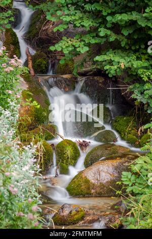 Nationalpark Aigüestortes im Vall de Boi, Spanien. Zweitausend Fuß das Wasser ist vorhanden Stockfoto