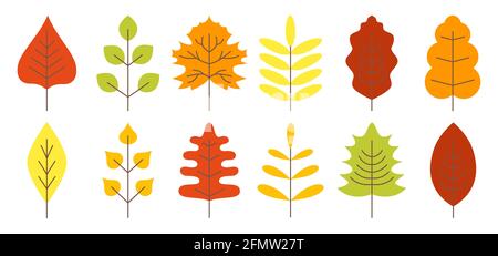 Realistische bunte trockene Herbstblätter isoliert auf weißem Hintergrund. Eiche, Linde, Birkenblatt und Ahorn. Flacher Stil, Vektor. Halloween Dekoration für Zimmer. Aufkleber und Etikett.Baum Stock Vektor