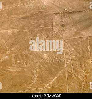 Condor geoglyph, Nazca geheimnisvolle Linien und Geoglyphen Luftbild Sepia farbig, Wahrzeichen in Peru Stockfoto