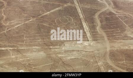 Parrot-Geoglyphen, Nazca oder Nasca geheimnisvolle Linien und Geoglyphen Luftbild, Wahrzeichen in Peru Stockfoto