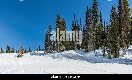 park im Winter fantastisch sonnigen Tag im Wald Schnee behagt sonnigen frühen Frühlingstag. Stockfoto