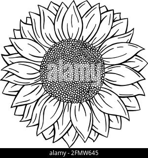 Einfarbig, schwarz und weiß Doodle Stil Sonnenblume isoliert auf weißem Hintergrund. Vektorformat Hand gezeichnete Blume Stock Vektor