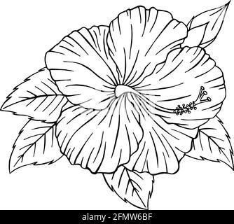 Handgezeichnete Hibiskusblüte. Hibiskus-Linienkunst-Vektor-Illustration isoliert auf weißem Hintergrund. Tropische Blume Silhouette Doodle Stock Vektor