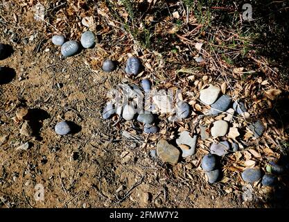 Chatsworth, Kalifornien, USA 3. Mai 2021 EINE allgemeine Ansicht der Atmosphäre von Rocks am Mordort der Familie Manson von Spahn Ranch Hand Donald 'Shorty' Shea, wo er am 26. August 1969 getötet und am 1977. Dezember auf der Santa Susana Pass Road gefunden wurde, hier am 3. Mai gezeigt, 2021 in Chatsworth, Kalifornien, USA. Foto von Barry King/Alamy Stockfoto Stockfoto