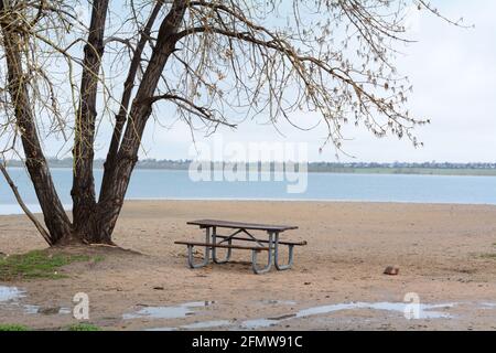 Leerer Picknicktisch am See an einem regnerischen Frühlingstag Mit Pfützen am Boden und neuen Frühlingsblättern am Baum Stockfoto