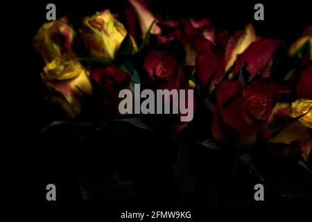 Bouquet von gelben und roten Rosen auf schwarzem Hintergrund Stockfoto
