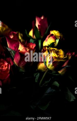 Bouquet von gelben und roten Rosen auf schwarzem Hintergrund Stockfoto
