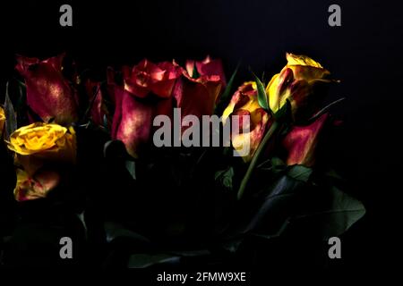 Bouquet von gelben und roten Rosen auf schwarzem Hintergrund Stockfoto