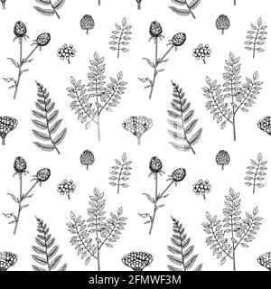 Handgezeichnetes, nahtloses Botanik-Muster mit Farn und Klette. Vektorgrafik im Skizzenstil Stock Vektor