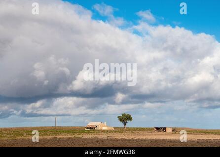 Isoliertes Bauernhaus im Südosten Südaustraliens, vom Overland-Zug zwischen Adelaide und Melbourne aus gesehen Stockfoto