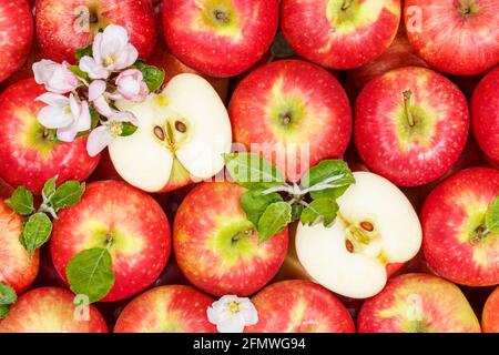 Äpfel Früchte rote Apfelfrüchte Hintergrund mit Blättern und Blüten Essen Stockfoto