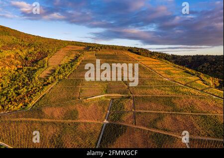 Tokaj, Ungarn - Luftaufnahme der weltberühmten ungarischen Weinberge von Tokaj Weinregion mit goldenem Sonnenaufgang und blauem bewölktem Himmel auf einem warmen Herbst mor Stockfoto