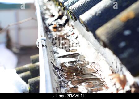 Eine Nahaufnahme einer schmutzigen, nicht gereinigten Regenrinne, die mit heruntergefallenen Blättern und Trümmern voller Wasser verstopft ist, die vom Dach des Hauses zu Beginn des Spri schmelzen Stockfoto