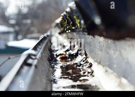 Ein weicher Fokus des Schneeschmelzens mit den Wassertropfen, die von einem Dach in eine Regenrinne fallen, die mit heruntergefallenen Blättern verstopft ist. Stockfoto