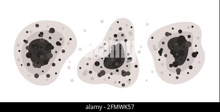 Schwarze Schimmelflecken in verschiedenen Formen. Giftige Schimmelsporen. Pilze und Bakterien. Flecken an der Hauswand. Isolierte Vektorgrafik auf Weiß Stock Vektor