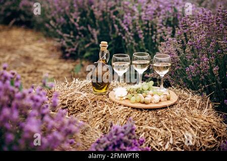 Drei Gläser Weißwein, Vorspeisen Käse, Trauben, Biscotti, Olivenöl und ein Blumenstrauß auf einem Heuhaufen zwischen Lavendelbüschen. Romantisches Bild Stockfoto