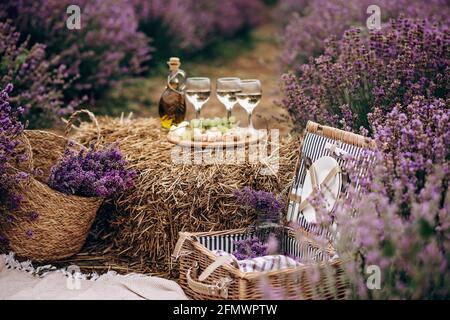 Sommerpicknick im Lavendelfeld. Gläser Wein, ein Picknickkorb, Snacks und Blumensträuße auf einem Heuhaufen zwischen den Lavendelbüschen. Weiches se Stockfoto