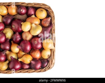 Bunte gelbe und rote Zwiebeln in einem Weidenkorb auf weißem Hintergrund, isolieren, Landwirtschaft Stockfoto