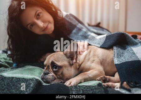 Hündin und niedlichen französisch Bulldogge ruht auf Bett mit Karierten in gemütlichen Hause Stockfoto