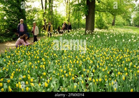 Pralormo, Piemont, Italien. -04-25-2009-Messer Tulipano Gartenbau Ausstellung mit Frühling Tulpen blühen in Pralormo Schloss. Stockfoto